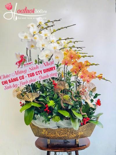 LHDKH - Vượt khơi