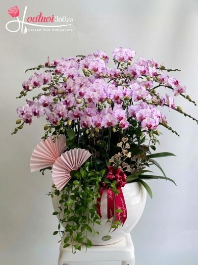 LHDMN - Năng lượng bứt phá