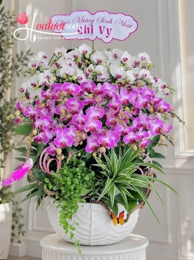 LHDMN - Tích đức gặp lành