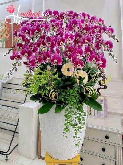 LHDT - Dấu ấn thành công