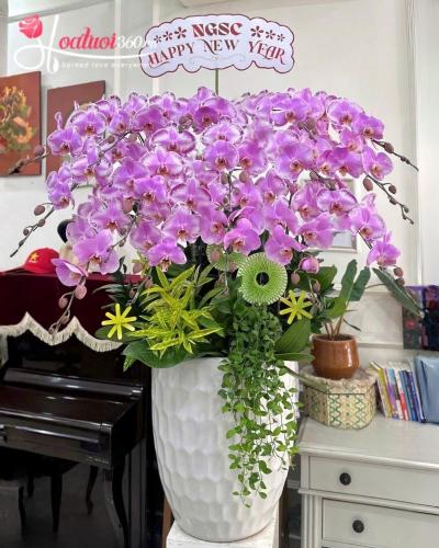 LHDT - Khởi đầu huy hoàng