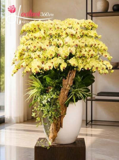 LHDV - Đỉnh cao danh vọng