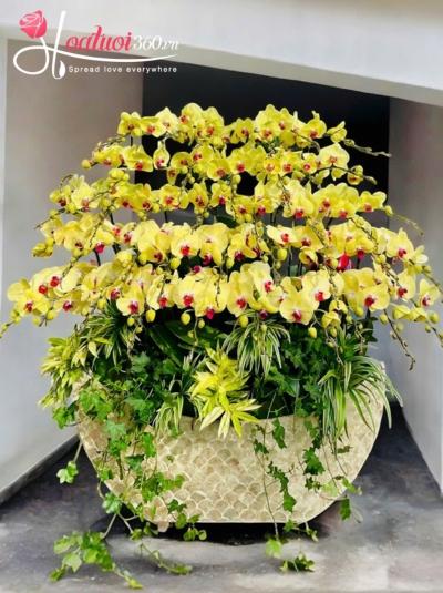 LHDV - Kim tiền tấn lộc