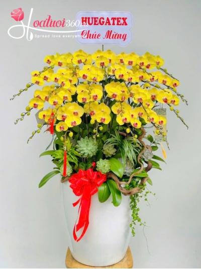 LHDV - Nắng vàng thịnh vượng