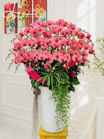 LHDV - Ngọn lửa kiêu hãnh