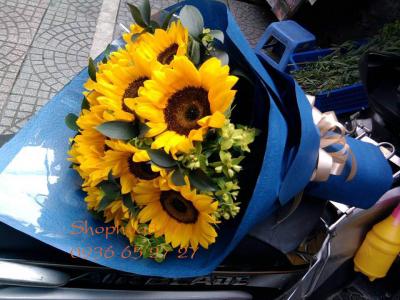 Nắng vàng yêu thương