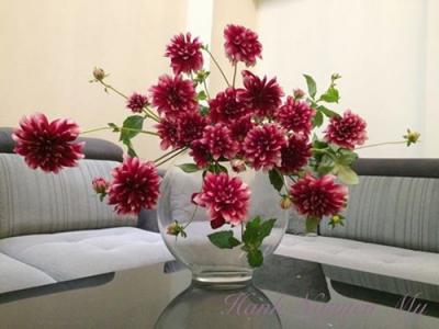 hoa để bàn phòng khách ngày tết