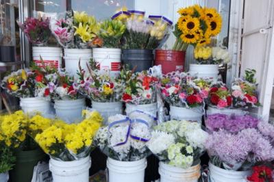 Shop hoa gần đường Nguyễn Gia Thiều quận 3