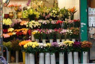 Shop hoa giá rẻ quận 3 Hai Bà Trưng