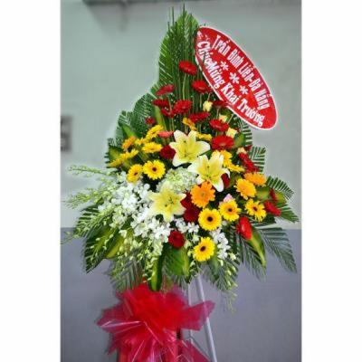 Shop hoa Tân Bình giá rẻ không đâu bằng