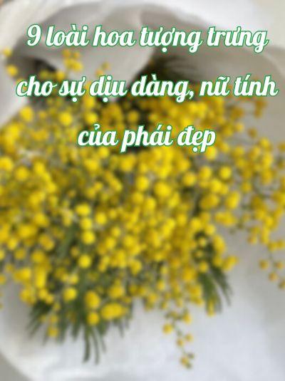Top 9 loài hoa tượng trưng cho sự dịu dàng, nữ tính