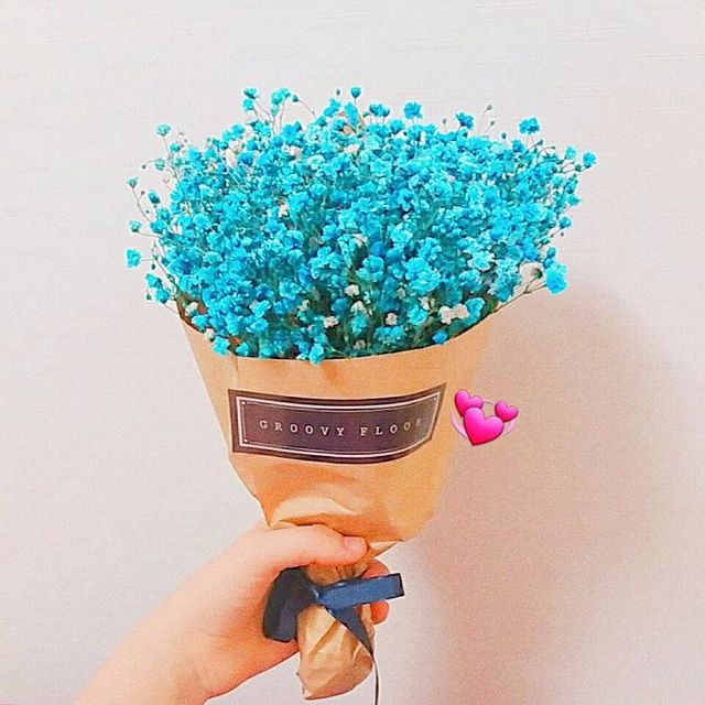 Hoa baby màu xanh