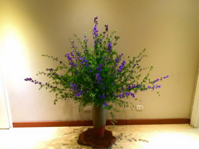 Lọ hoa Violet tuyệt đẹp tượng trưng cho tình yêu lứa đôi