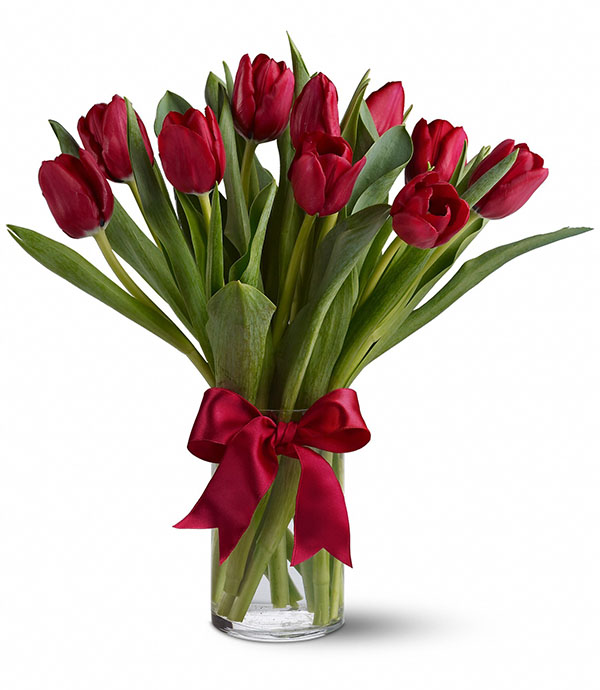 Hoa tulip là lời chúc ý nghĩa ngày Quốc tế phụ nữ