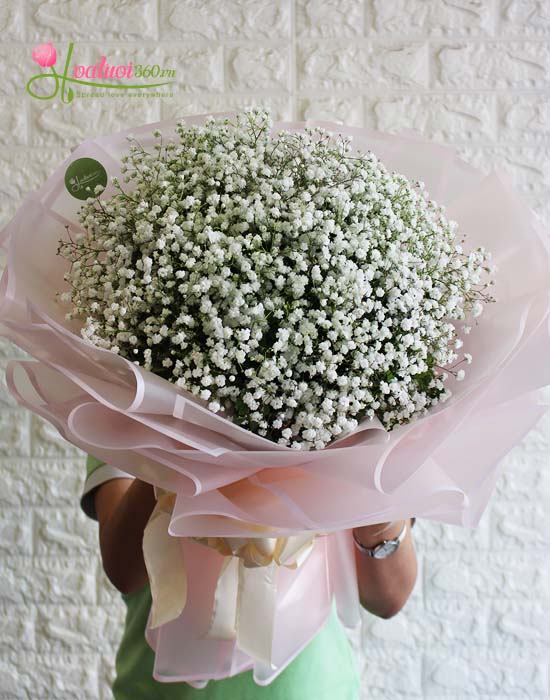 Bó hoa Baby trắng - Vẻ đẹp kiêu sa
