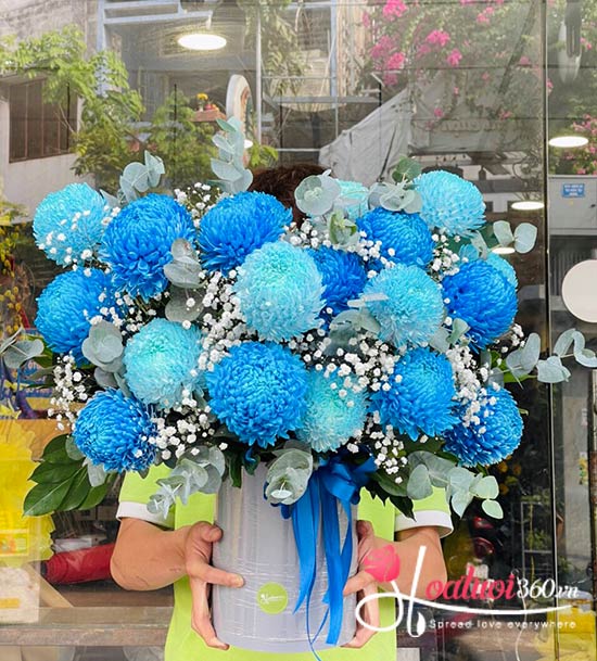 Cúc mẫu đơn xanh dương là loài hoa mang ý nghĩa tốt đẹp
