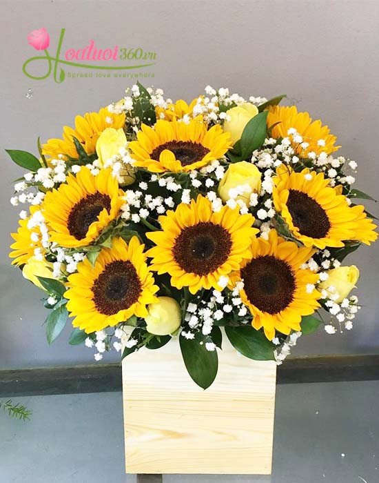 hộp hoa hướng dương dành tặng thầy cô ngày 20/11 đẹp và sang trọng