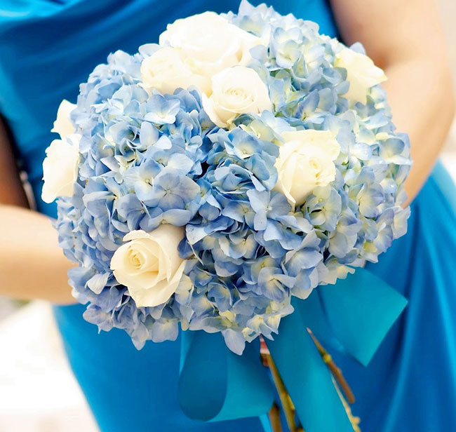 Hoa cầm tay cô dâu cẩm tú cầu cực xinh