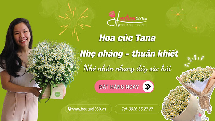 Bó hoa cúc tana dễ thương tại Hoa tươi 360