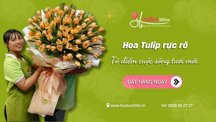 Giới thiệu về hoa tulip