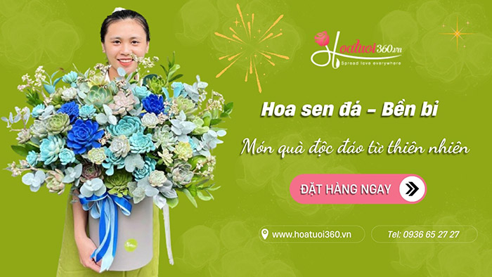 Giới thiệu hoa sen đá