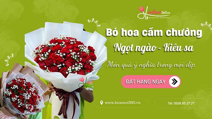 hoa cẩm chướng ngọt ngào -kiêu sa-tại hoa tươi 360