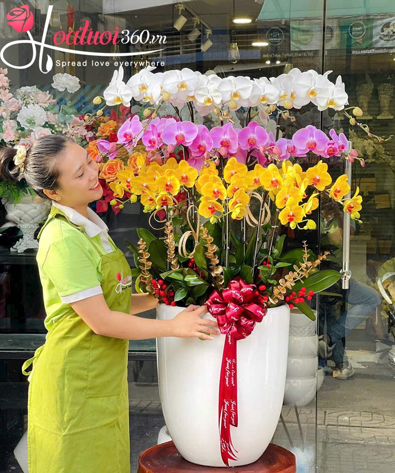 Cách xử lý lan hồ điệp sau Tết