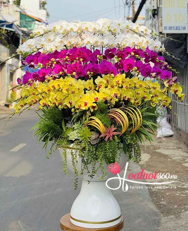 Mẫu hiếm - Chậu lan hồ điệp 3 tầng trưng tết