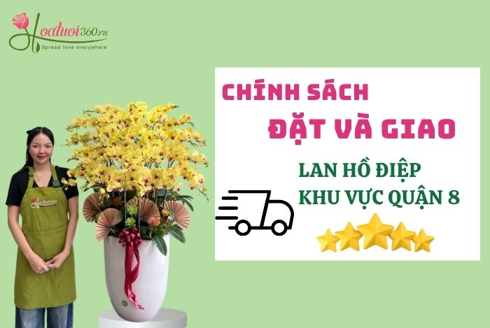 Chính sách vận chuyển tại Shop Lan Hồ Điệp Quận 8