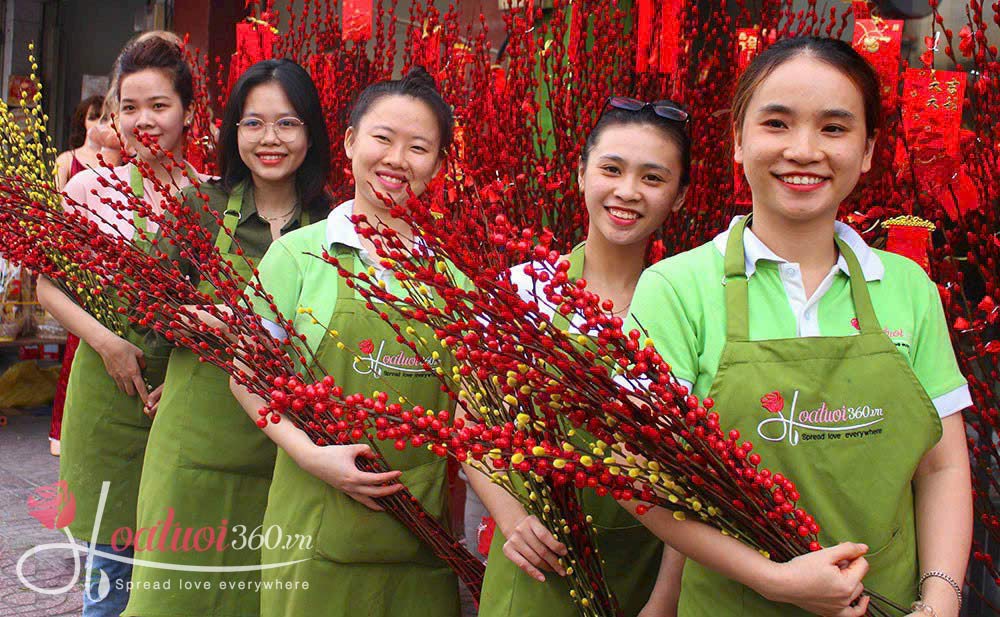 Địa chỉ bán bình nụ tầm xuân đẹp TPHCM