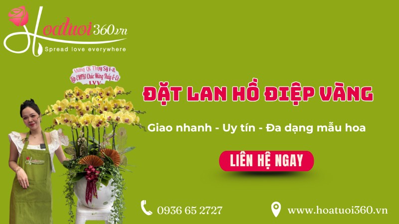 Hoa tươi 360 - Shop bán lan hồ điệp uy tín