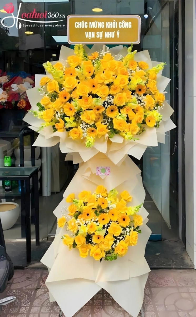 Hoa đồng tiền - Loài hoa cúng động thổ ý nghĩa 