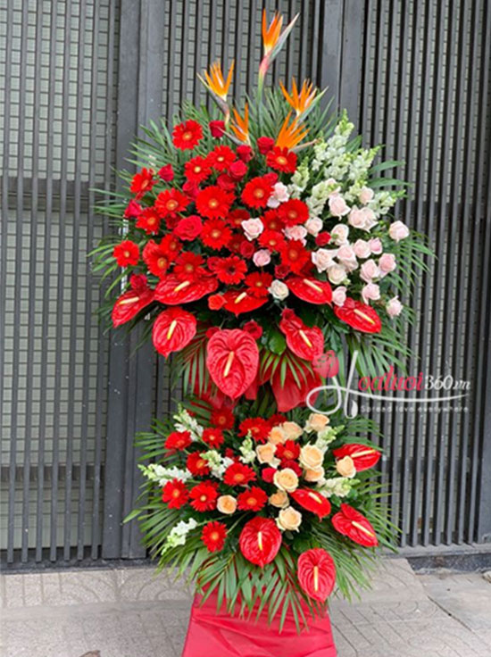 Kệ hoa môn đỏ khai trương 
