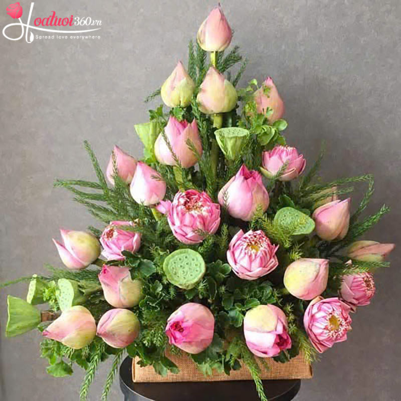Hoa sen loài hoa ý nghĩa nên tặng Giáo viên