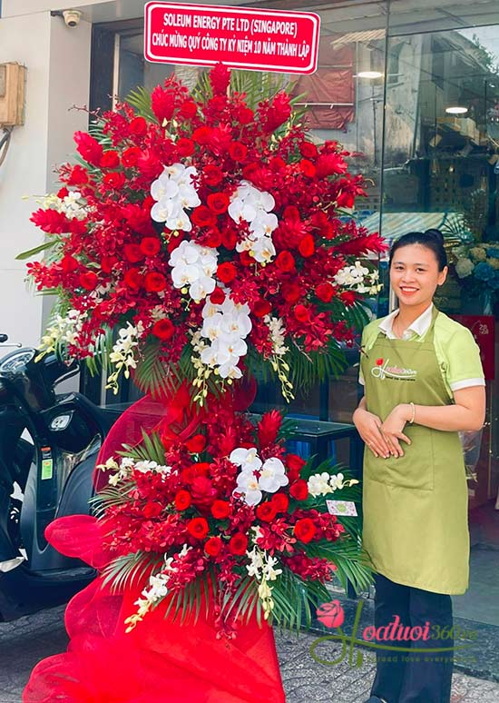 Hoa lan mokara đỏ chúc mừng khai trương sang trọng 