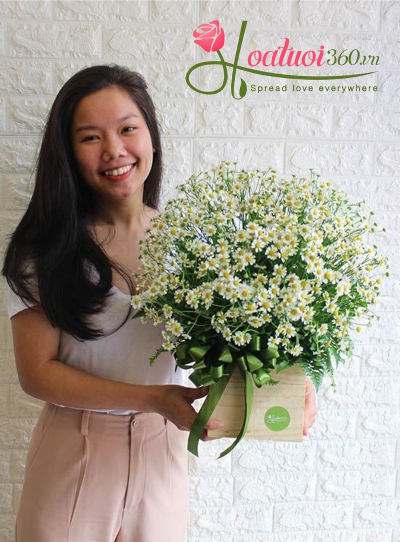 Hộp hoa cúc tana ý nghĩa tặng bạn thân