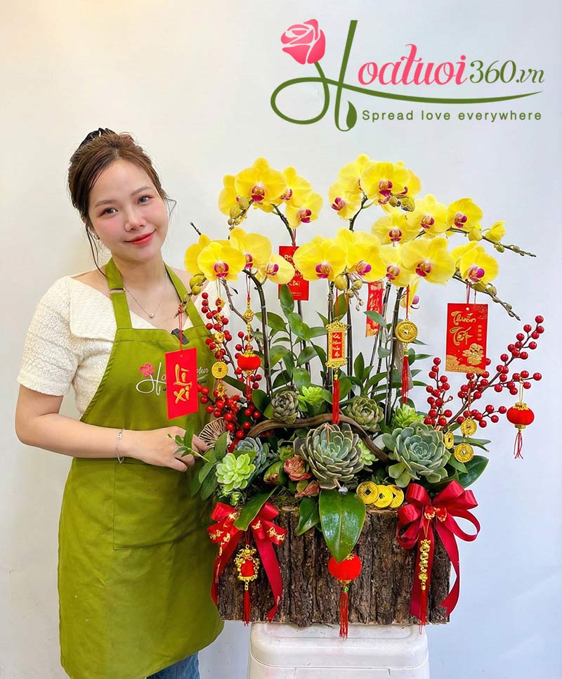 Mẫu hoa lan hồ điệp tết đơn sắc 5 cành