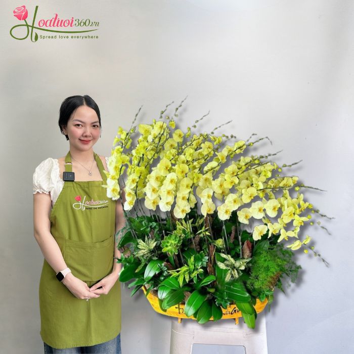 Thuyền lan khai trương của shop lan hồ điệp quận 8