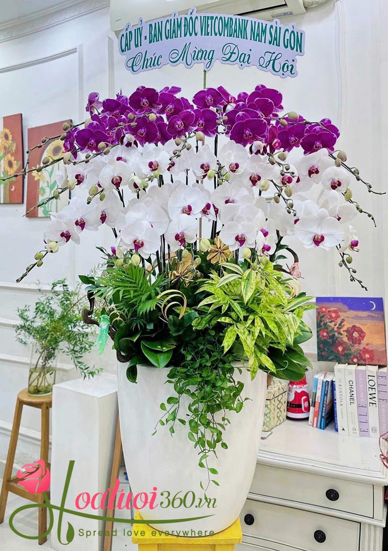 Chậu hoa 9 cành hồ điệp màu tím trắng
