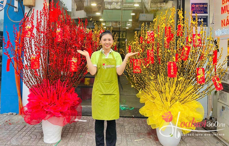 Bình tầm xuân đẹp chưng Tết đón may mắn đầu năm