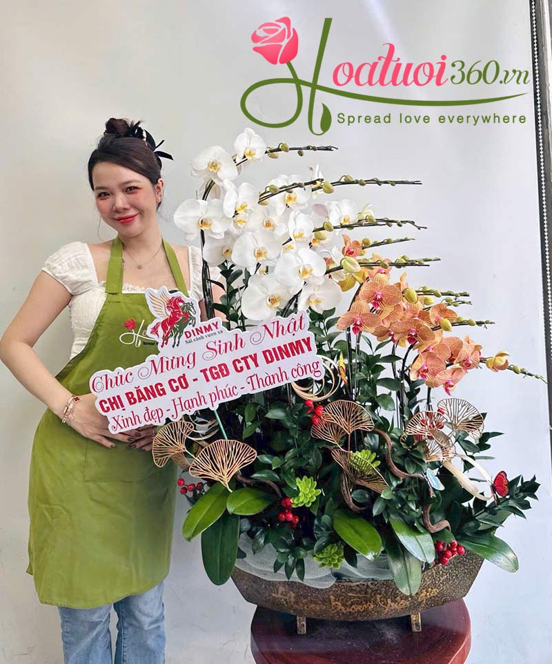 Thuyền lan hồ điệp cao cấp 