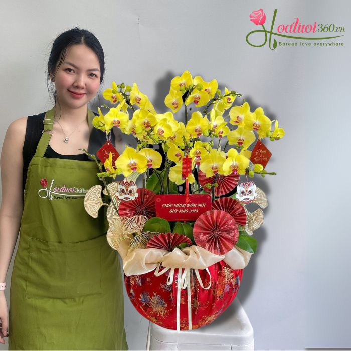 Shop bán lan hồ điệp trưng tết đẹp nhất quận 3