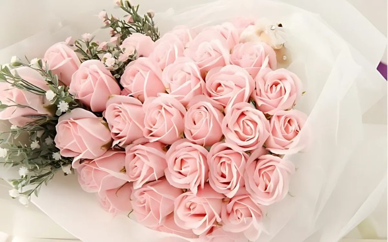 ý nghĩa hoa hồng phấn tone lạnh 