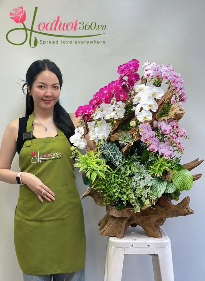 Ý nghĩa lan hồ điệp màu tím