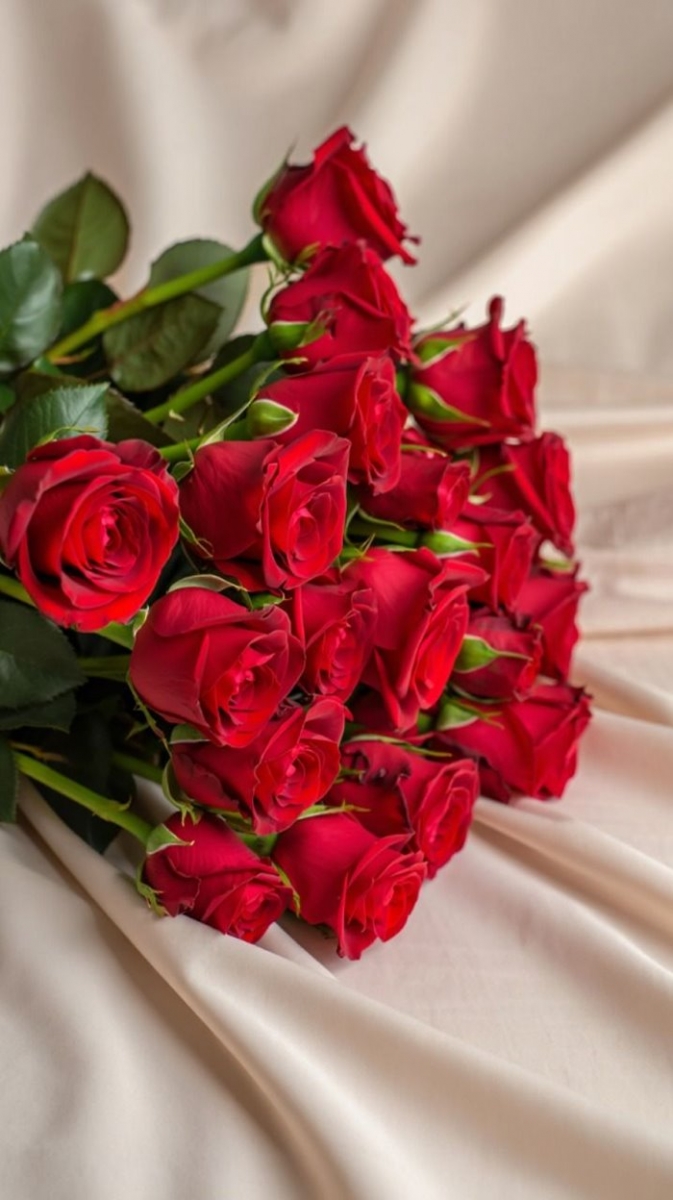 ảnh hoa hồng đỏ đẹp nhất