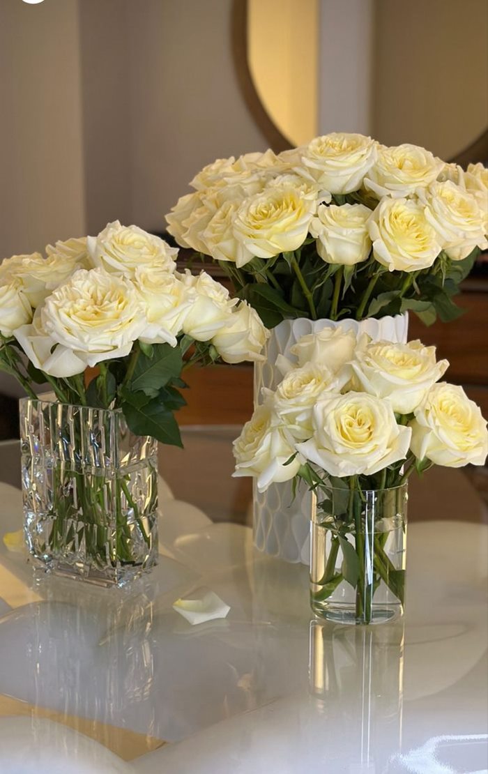 Ảnh hoa hồng trắng mới nhất