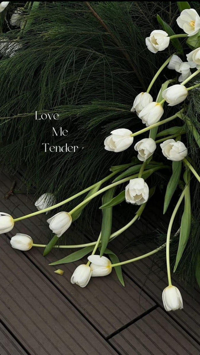 tai anh hoa tulip trang dep