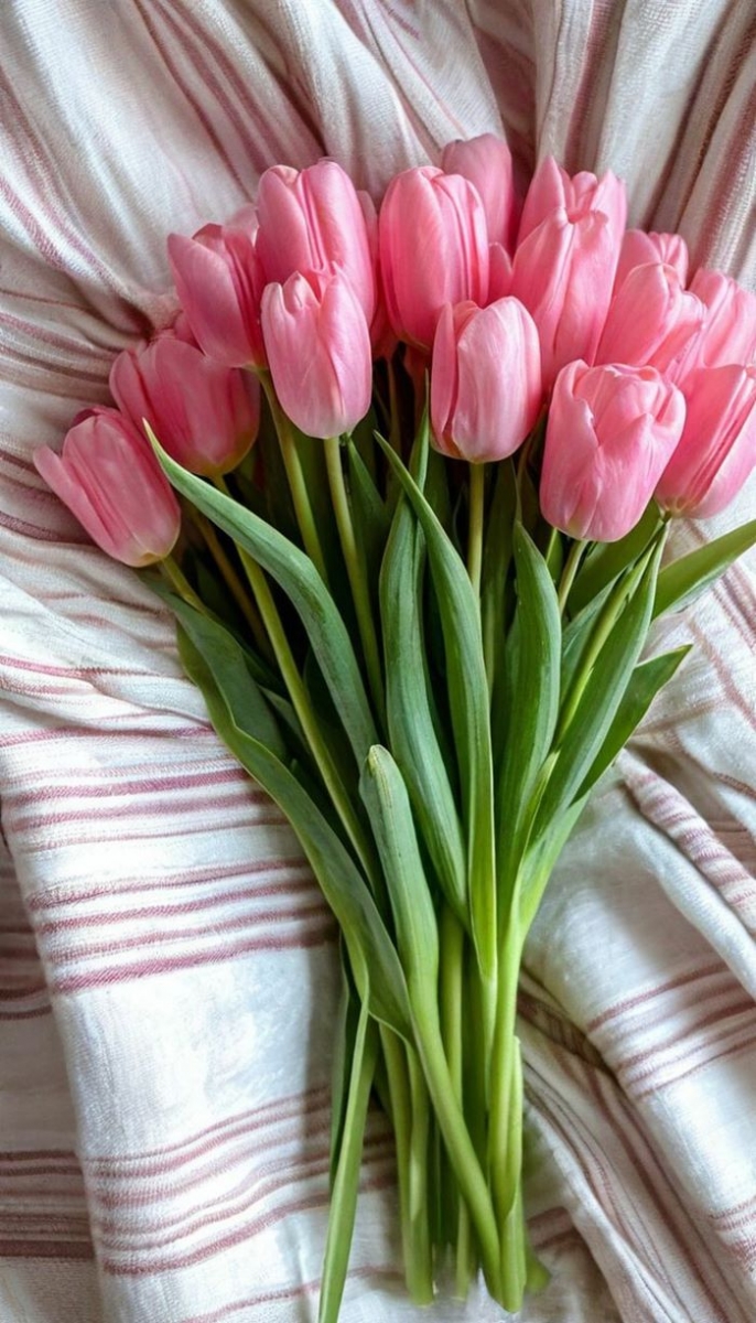 anh nen hoa tulip hong 4k