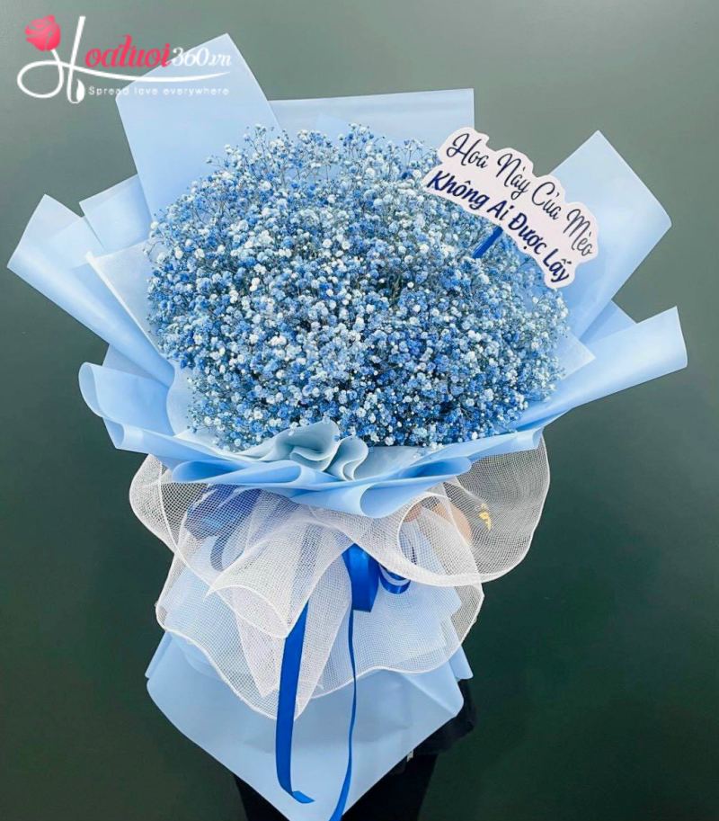 Bó hoa baby xanh chúc mừng