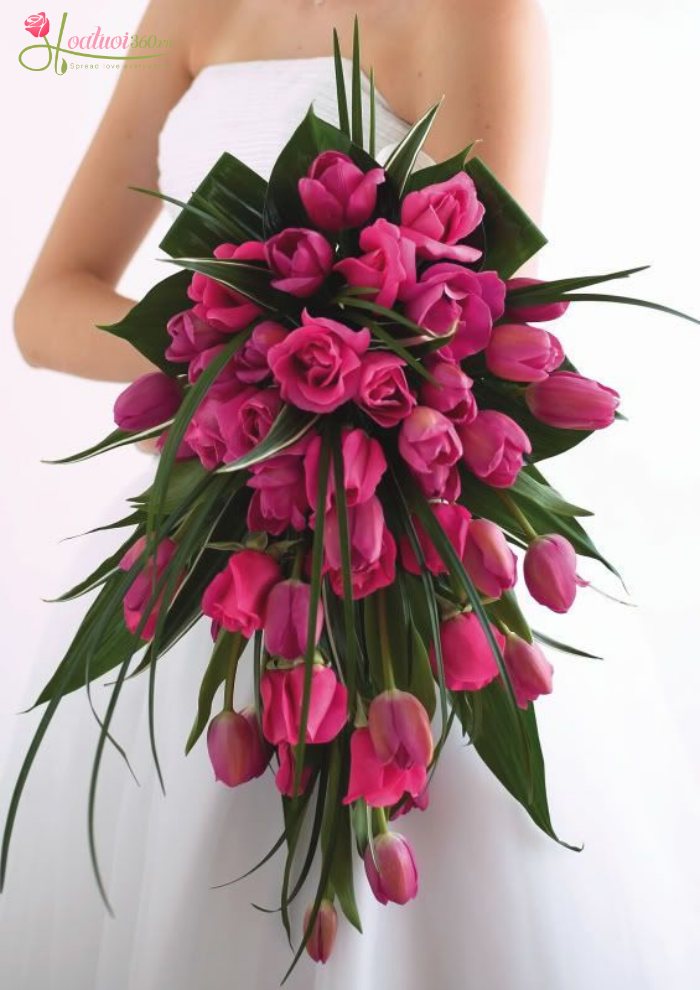 bó hoa cô dâu tulip hồng dáng dài